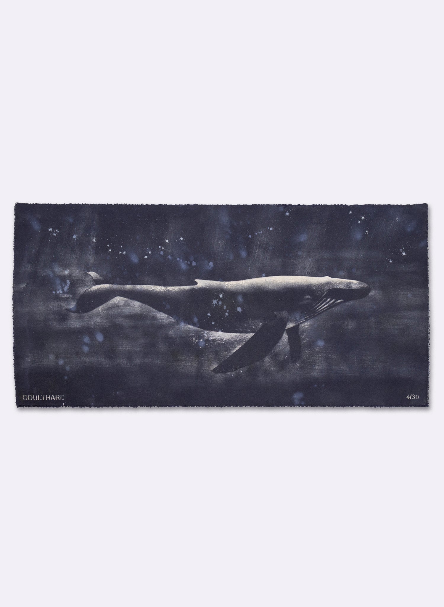 Dark Navy Humpback Whale