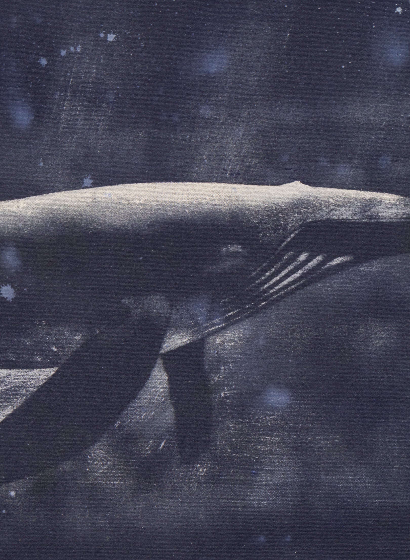 Dark Navy Humpback Whale