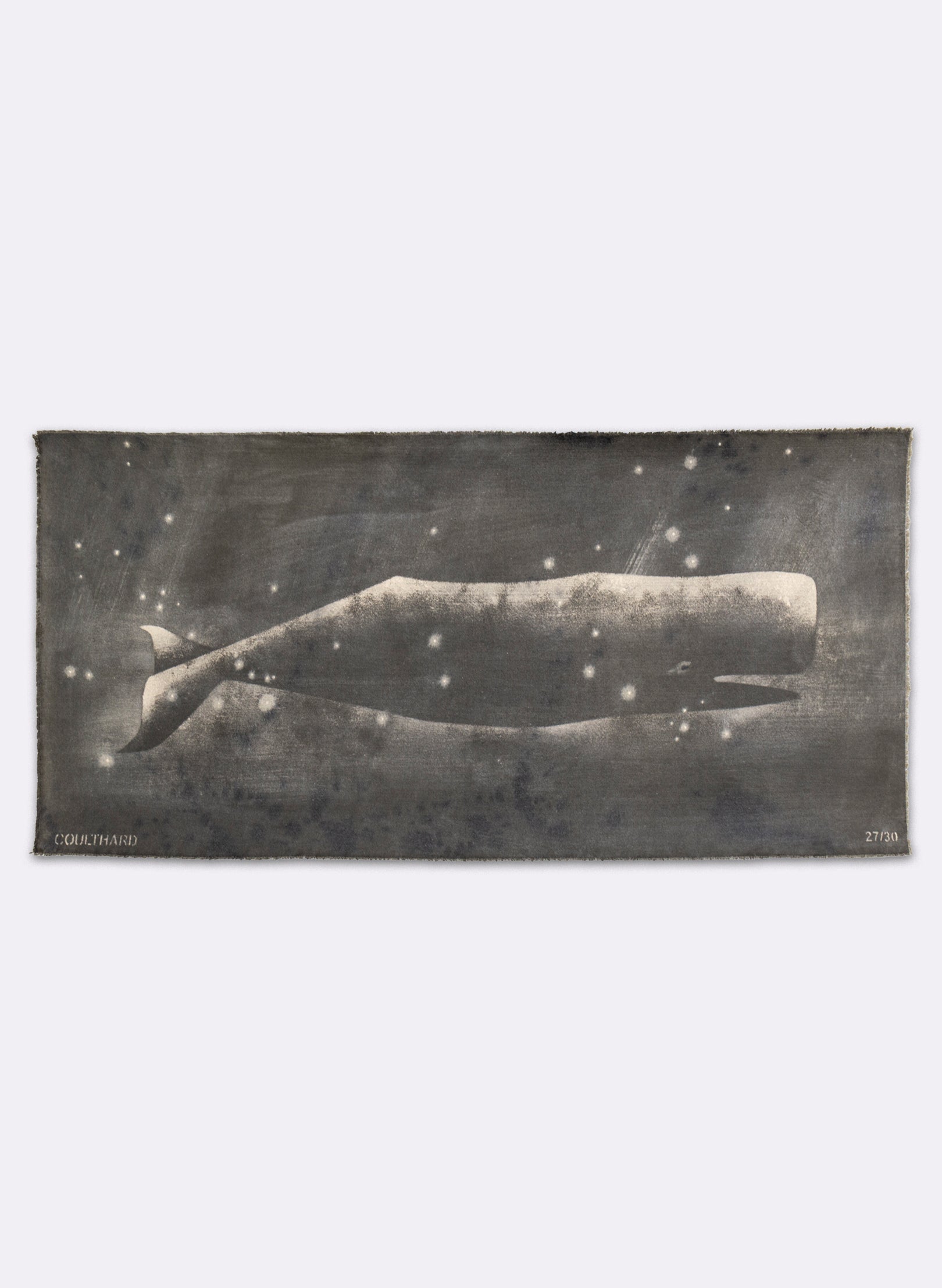 Small Heavy Whale Flag 27/30