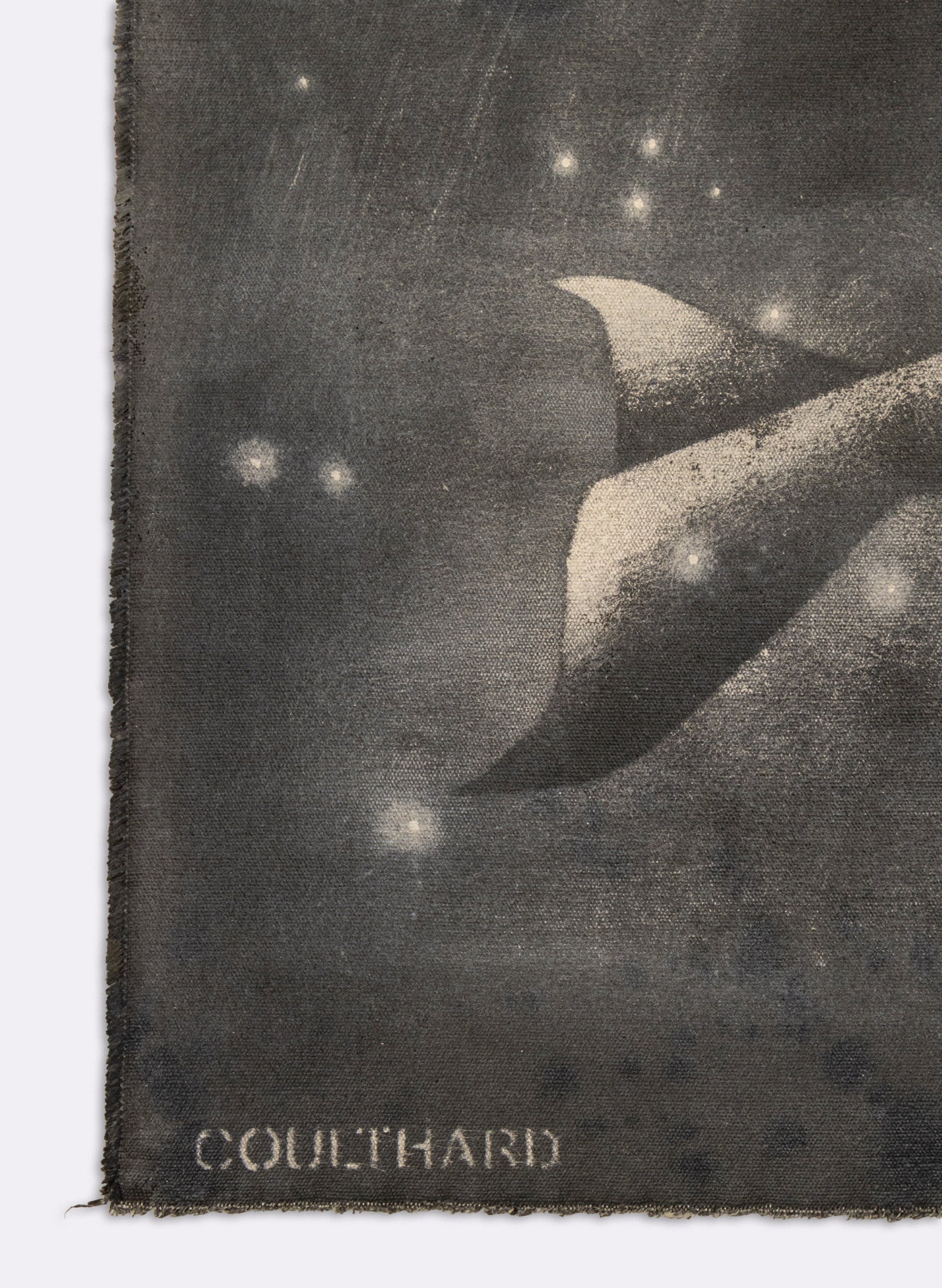 Small Heavy Whale Flag 27/30