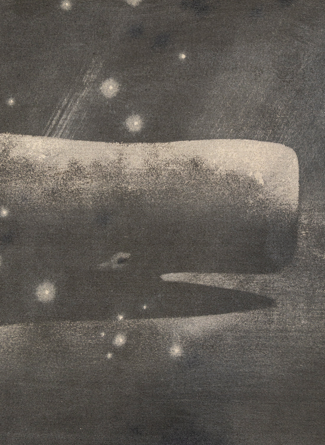 Small Heavy Whale Flag 27/30