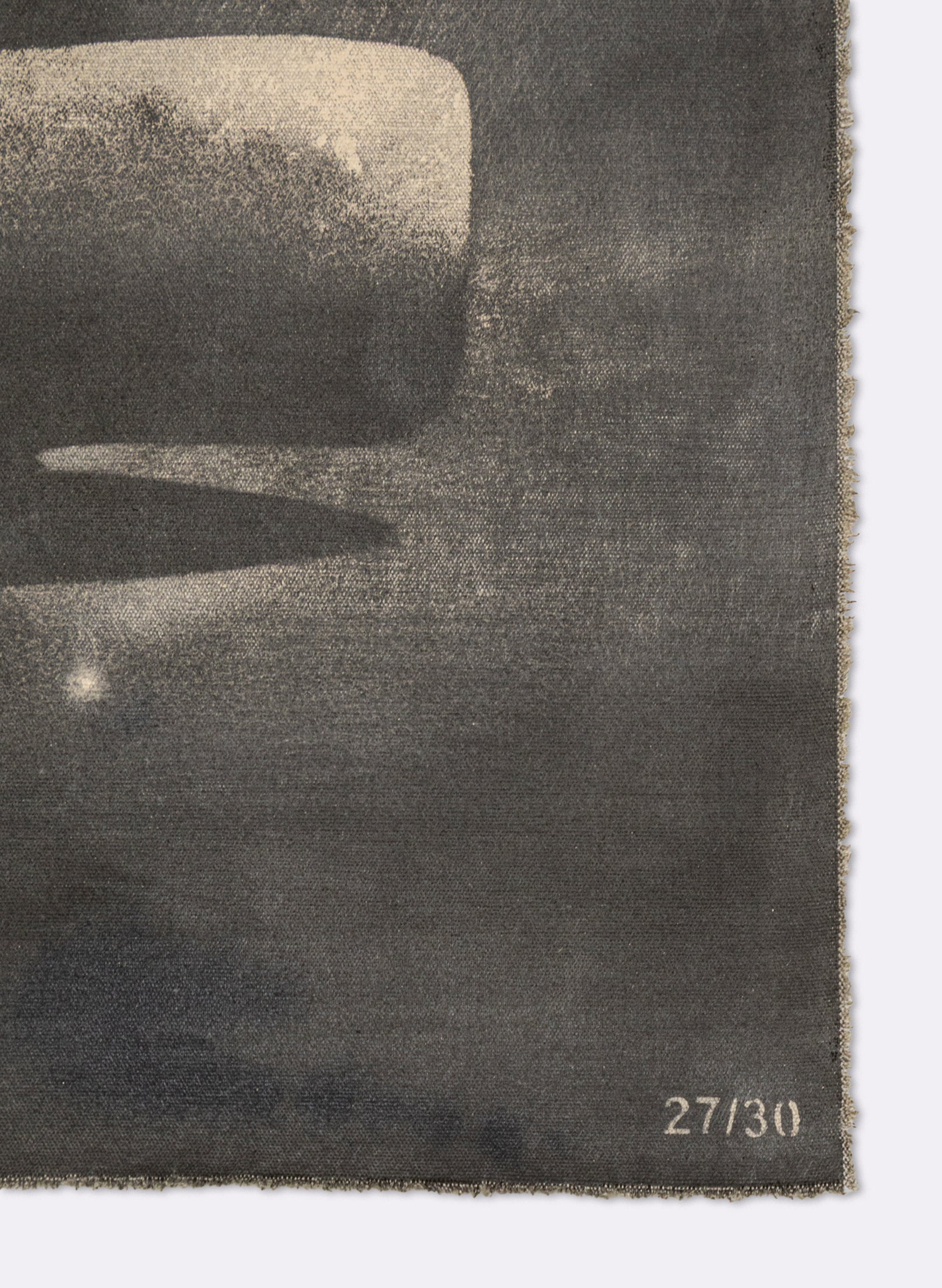 Small Heavy Whale Flag 27/30