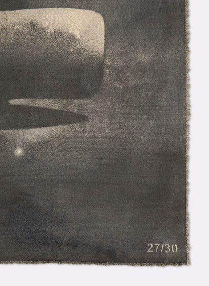 Small Heavy Whale Flag 27/30