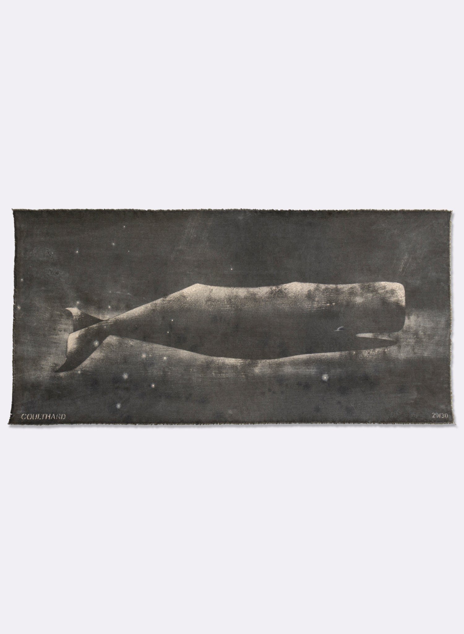 Small Heavy Whale Flag 29/30