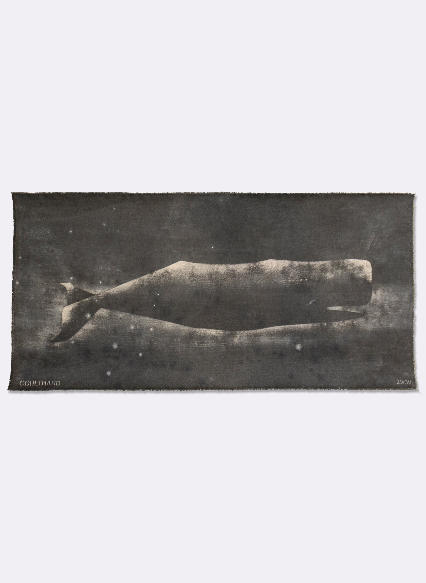 Small Heavy Whale Flag 29/30