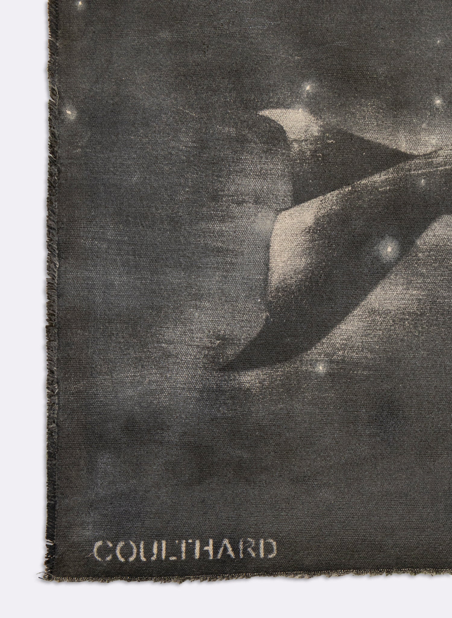 Small Heavy Whale Flag 29/30