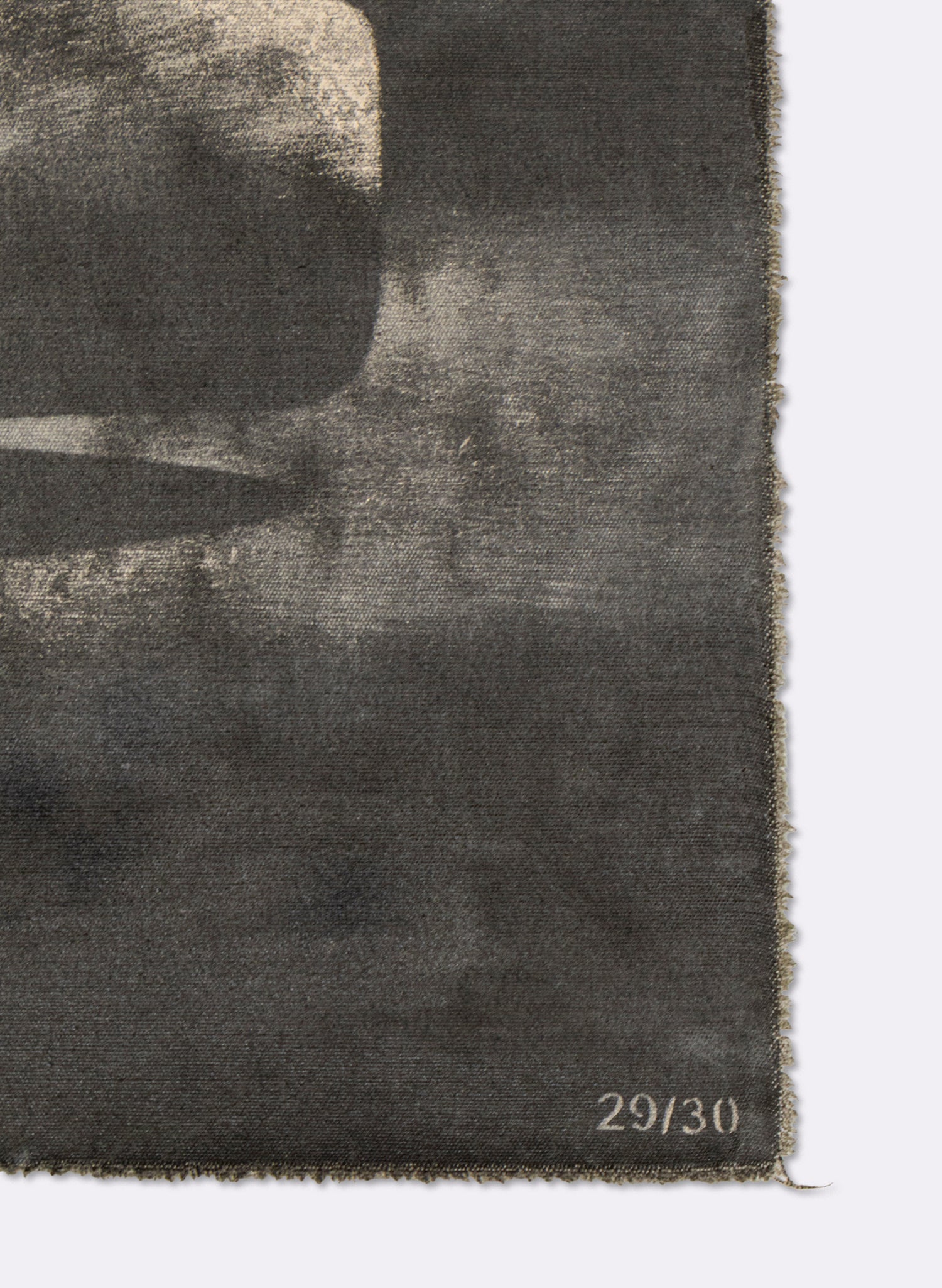 Small Heavy Whale Flag 29/30