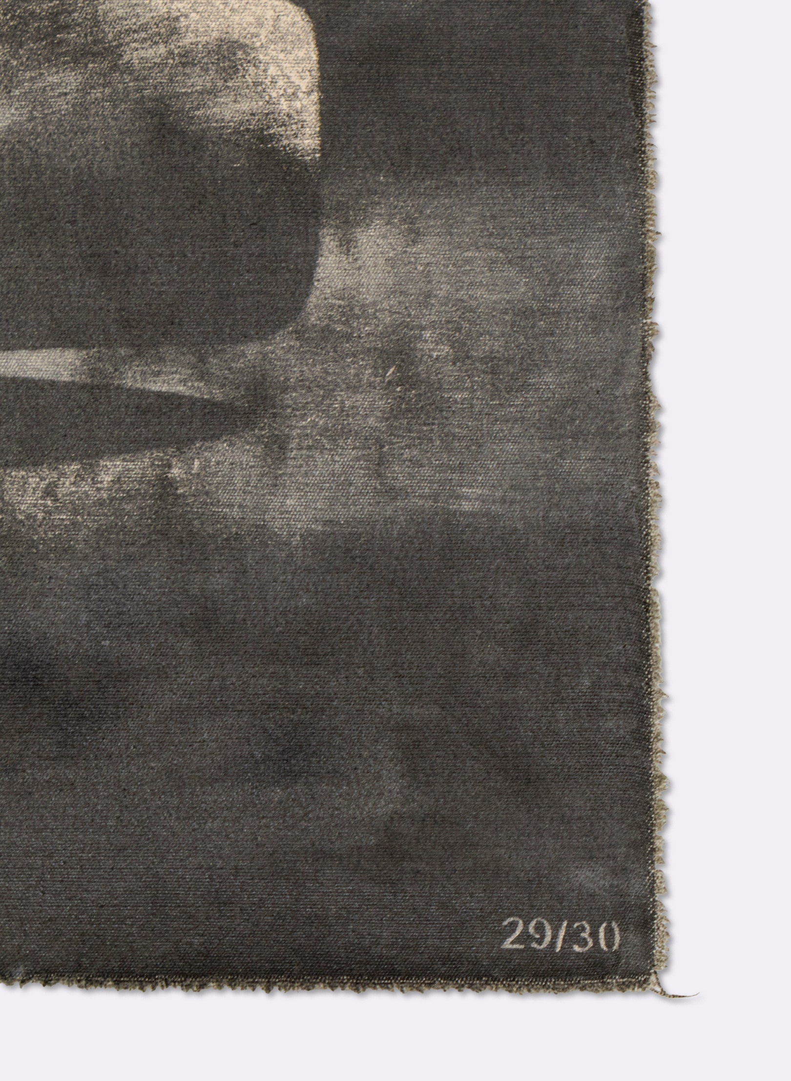 Small Heavy Whale Flag 29/30