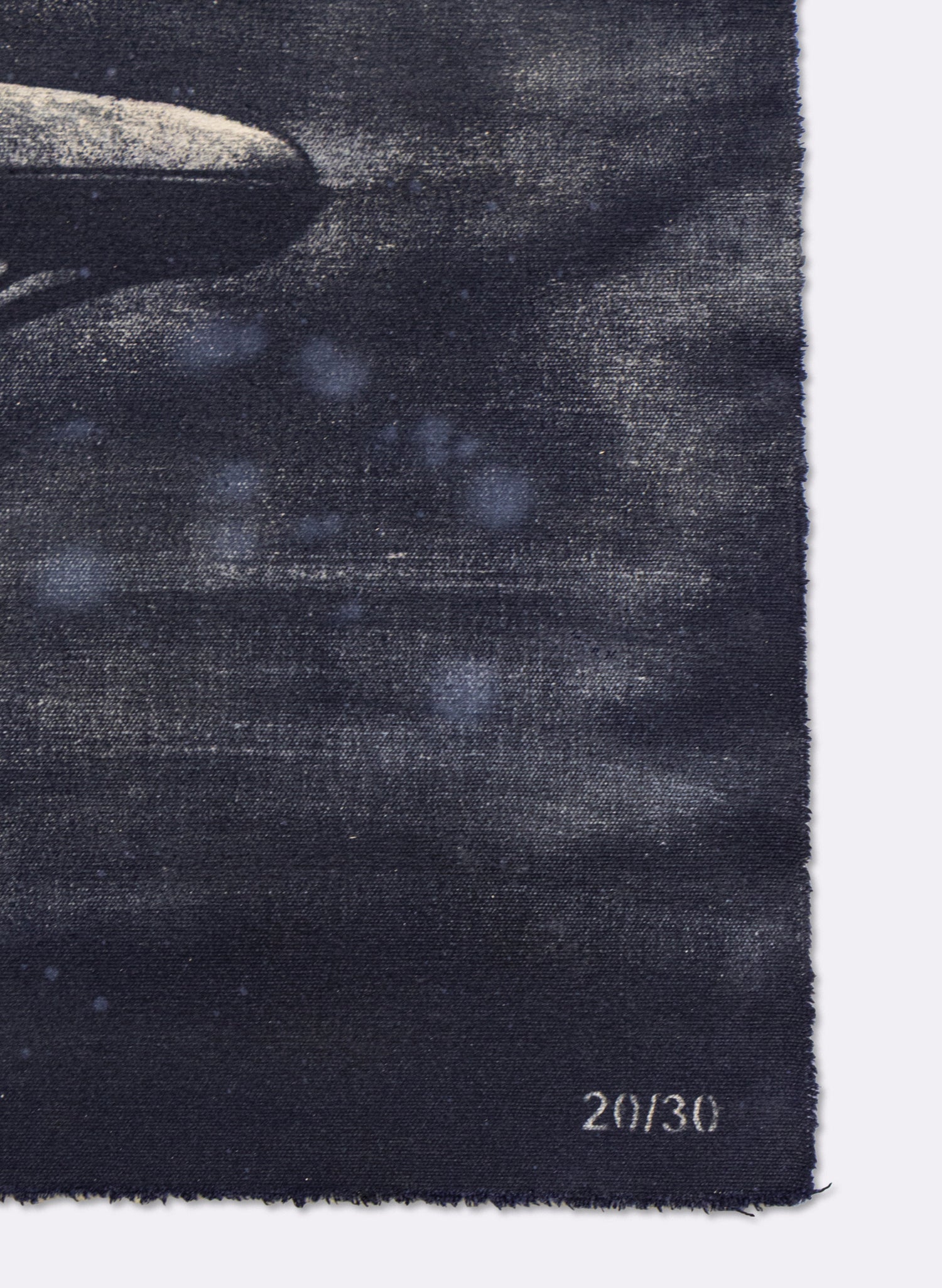 Dark Navy Humpback Whale
