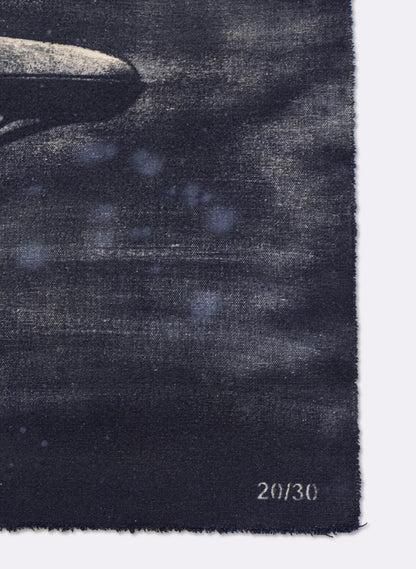 Dark Navy Humpback Whale