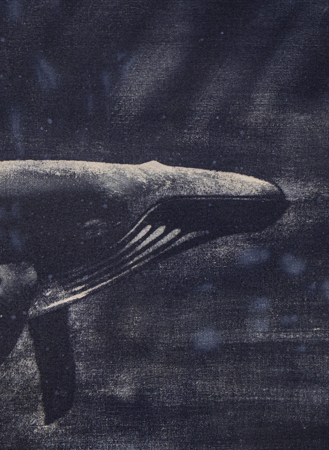 Dark Navy Humpback Whale