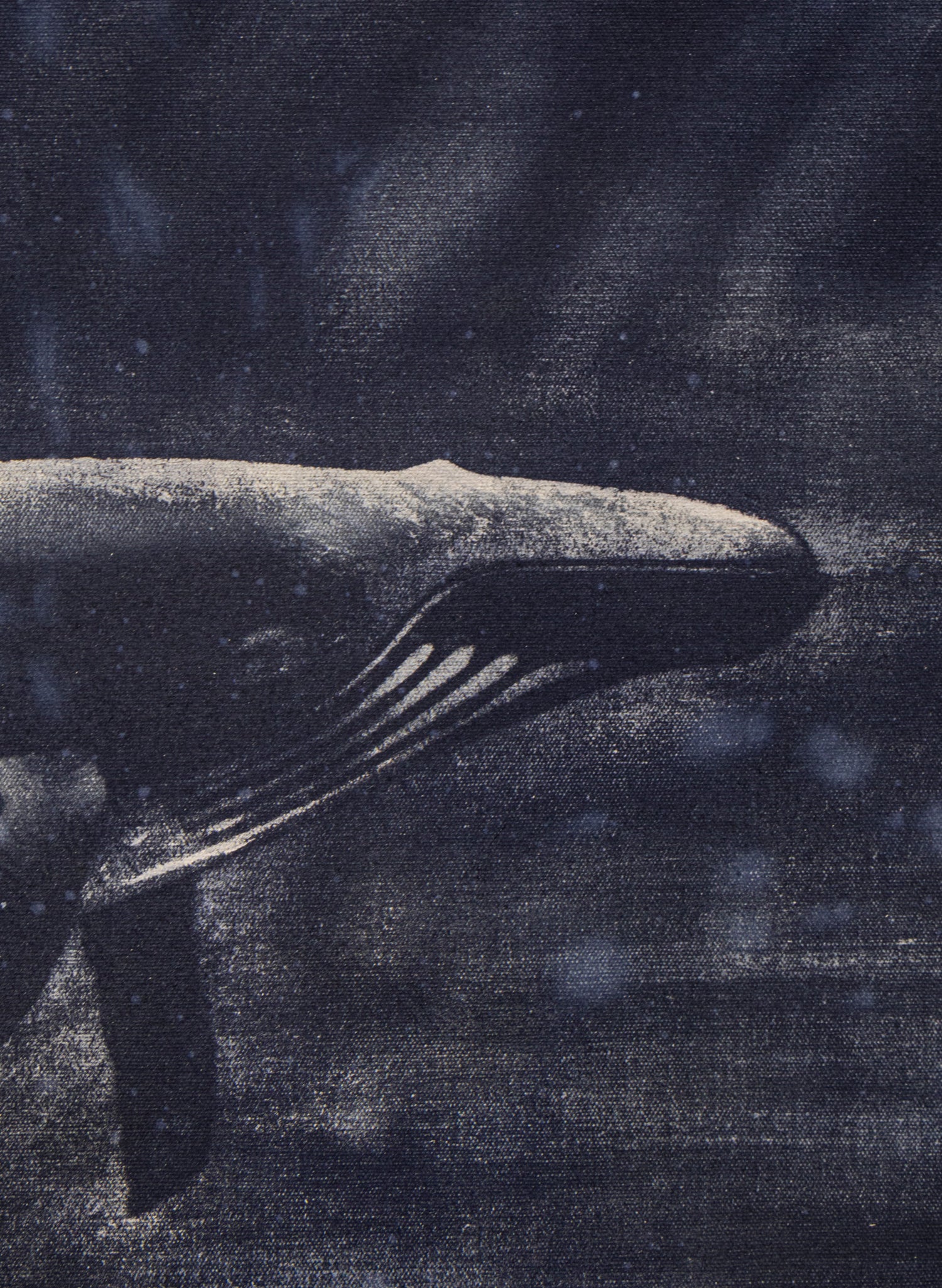 Dark Navy Humpback Whale