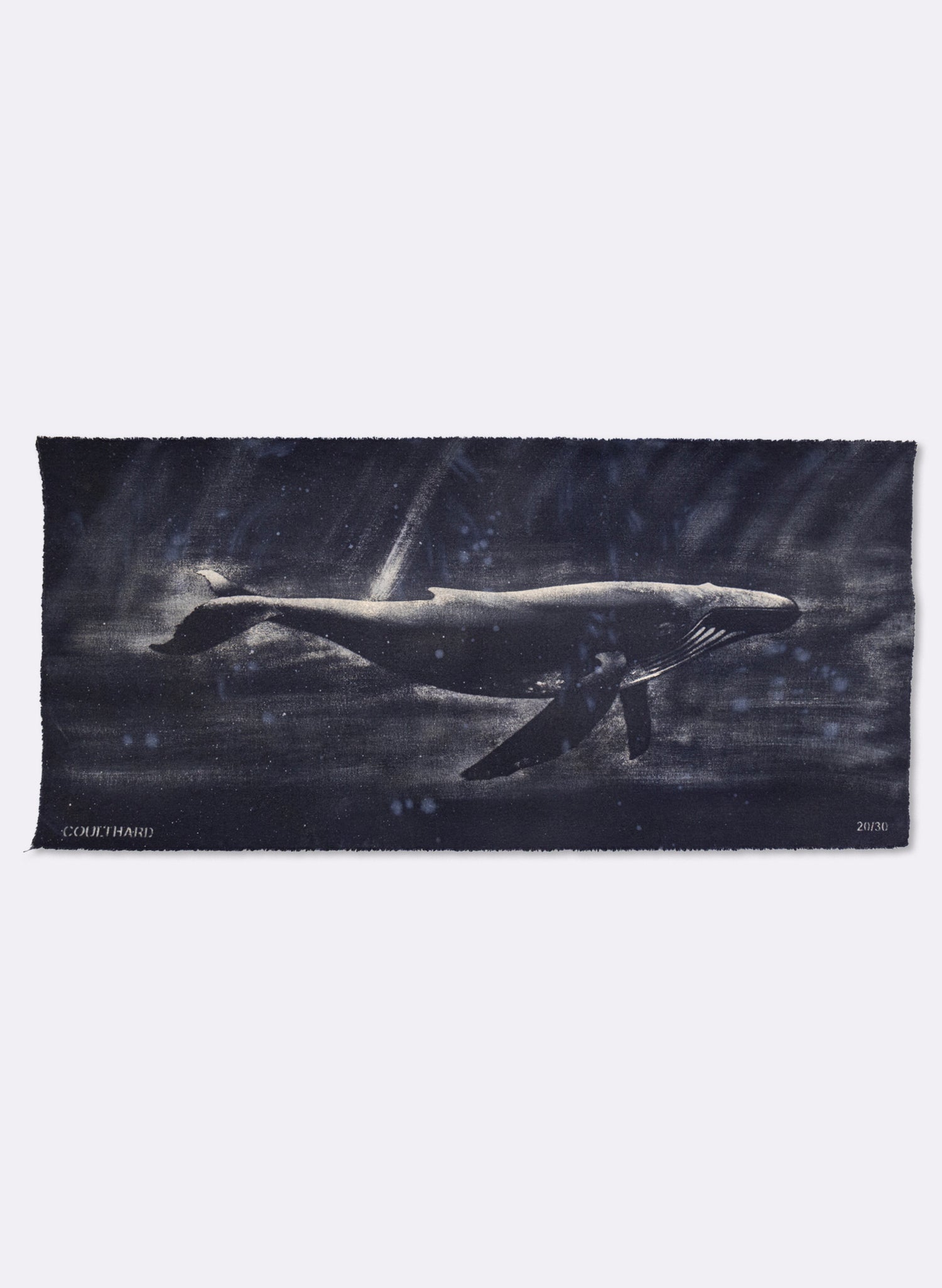 Dark Navy Humpback Whale