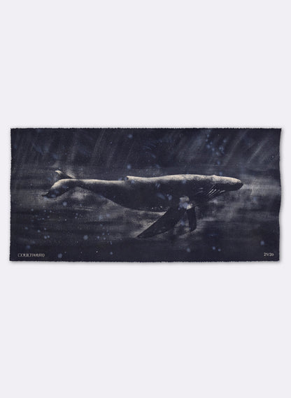 Dark Navy Humpback Whale