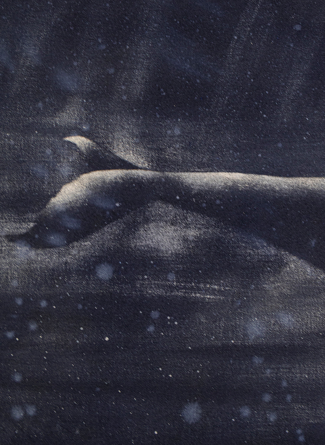 Dark Navy Humpback Whale
