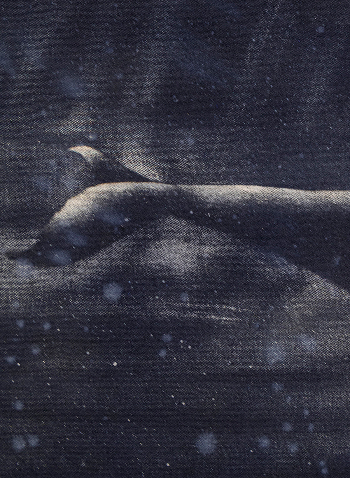 Dark Navy Humpback Whale