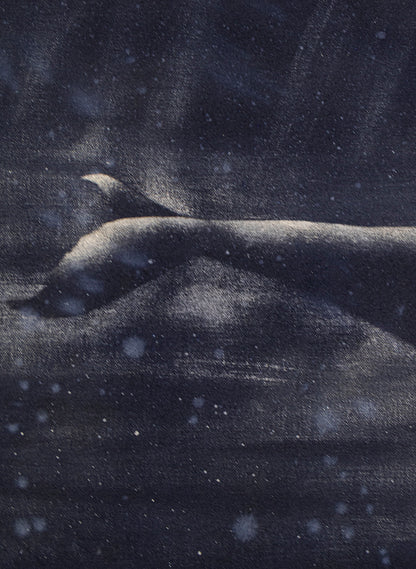 Dark Navy Humpback Whale