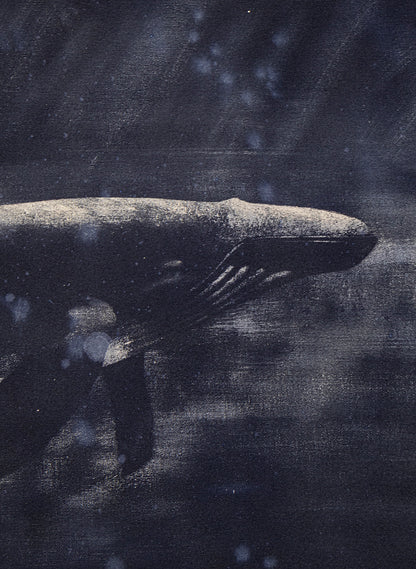 Dark Navy Humpback Whale