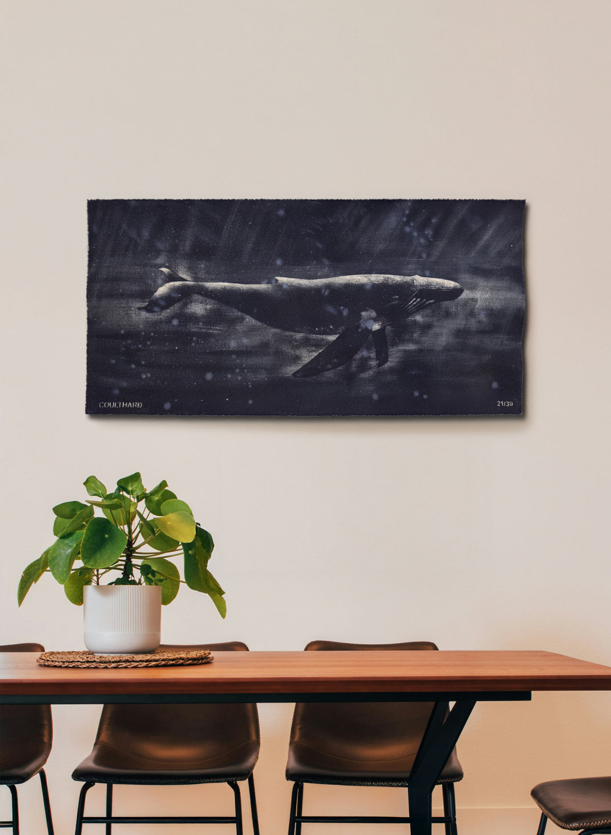 Dark Navy Humpback Whale