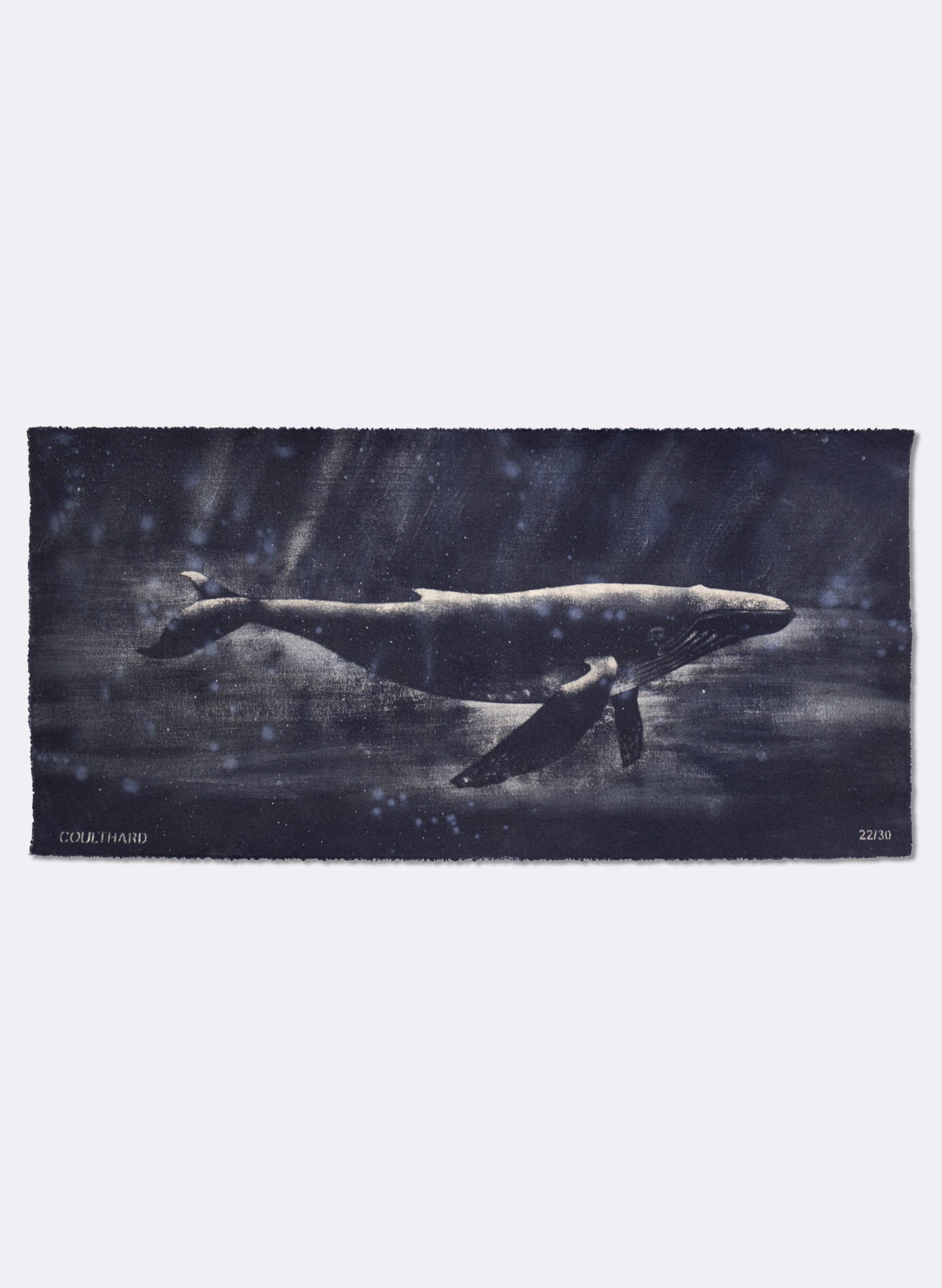 Dark Navy Humpback Whale