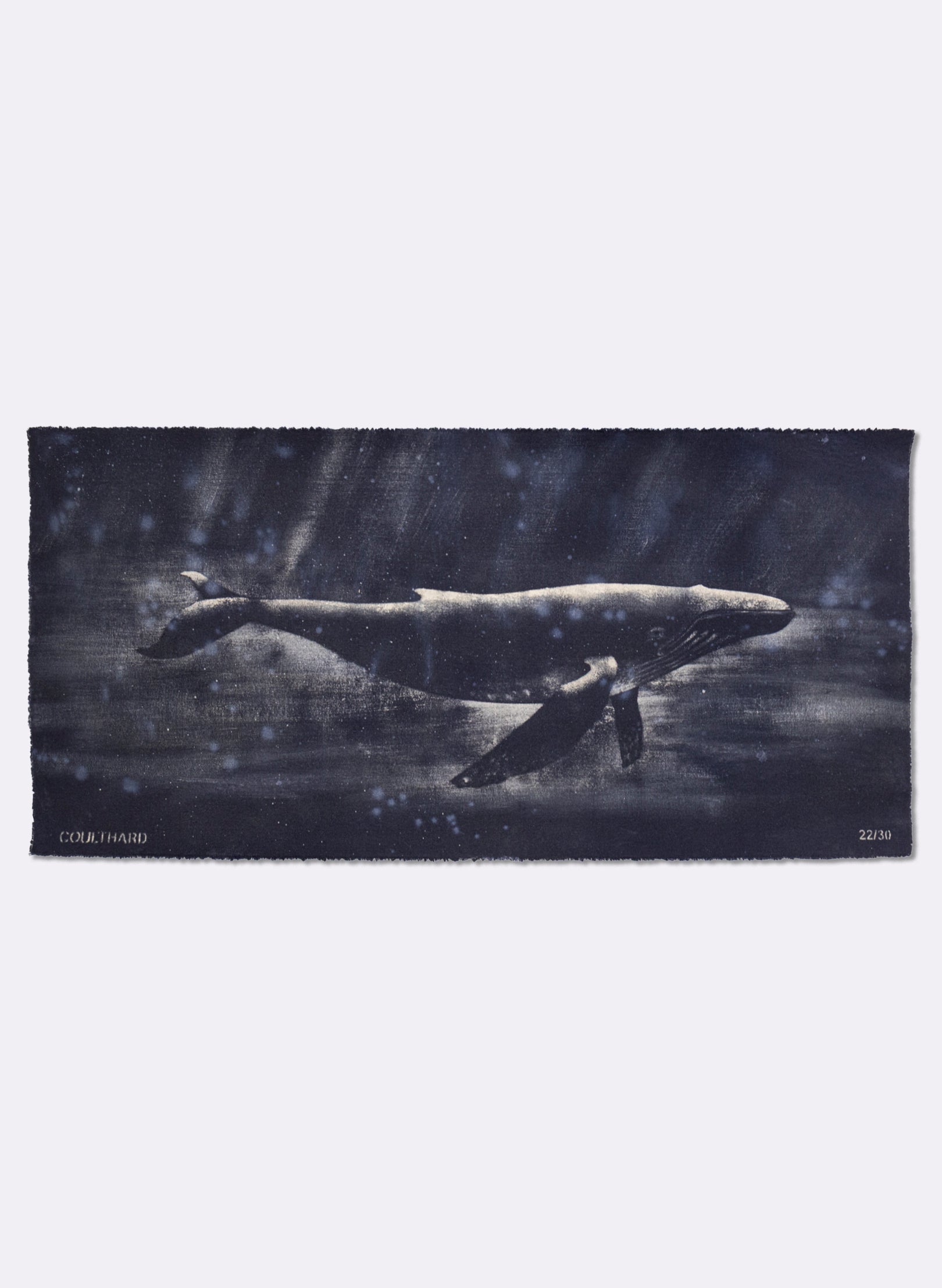 Dark Navy Humpback Whale
