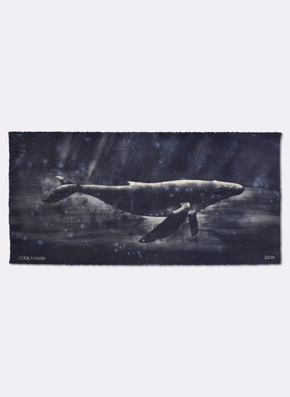 Dark Navy Humpback Whale