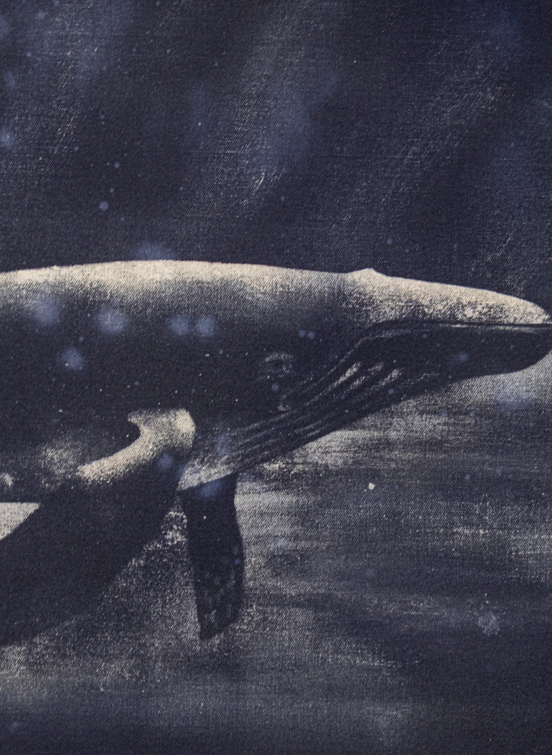 Dark Navy Humpback Whale