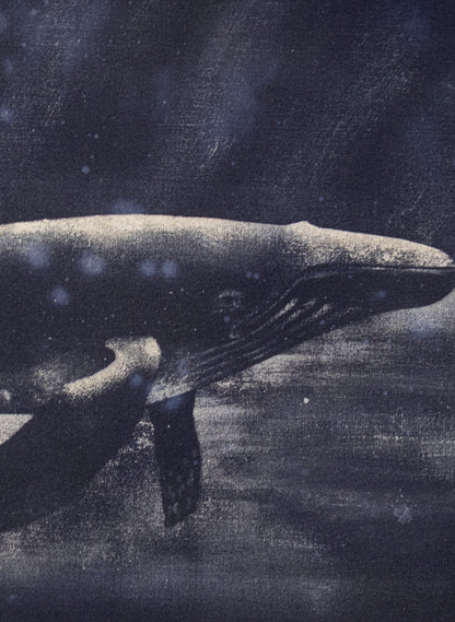 Dark Navy Humpback Whale
