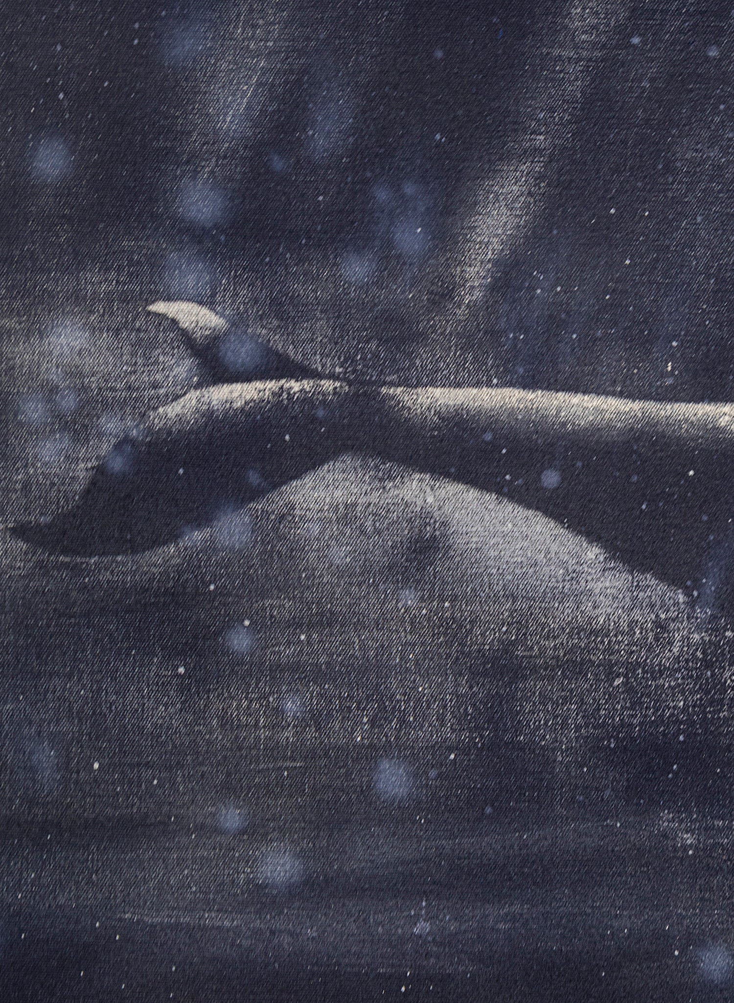 Dark Navy Humpback Whale