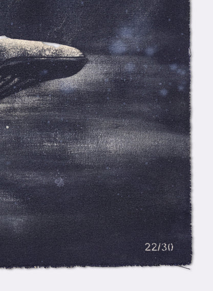 Dark Navy Humpback Whale