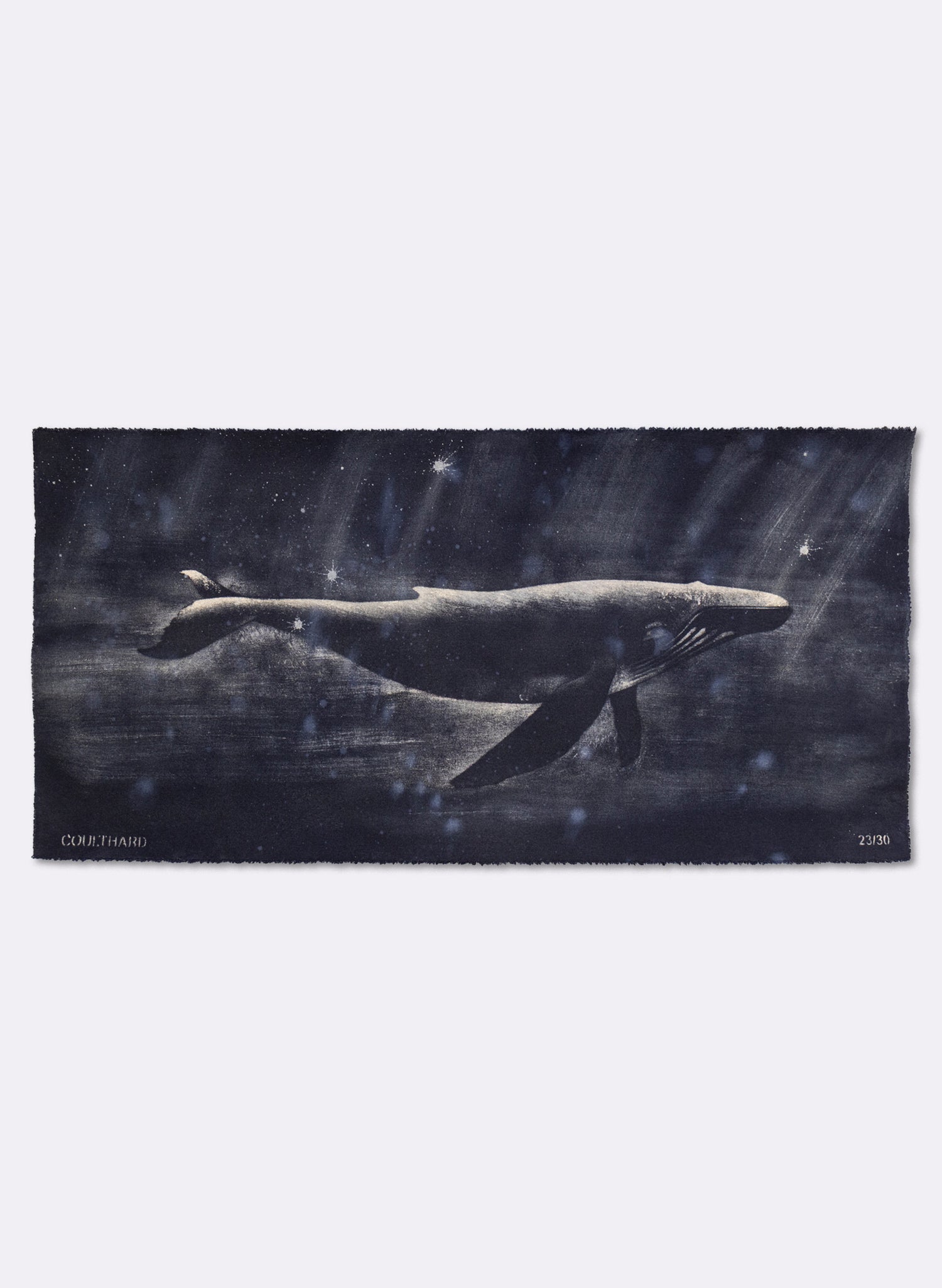 Dark Navy Humpback Whale