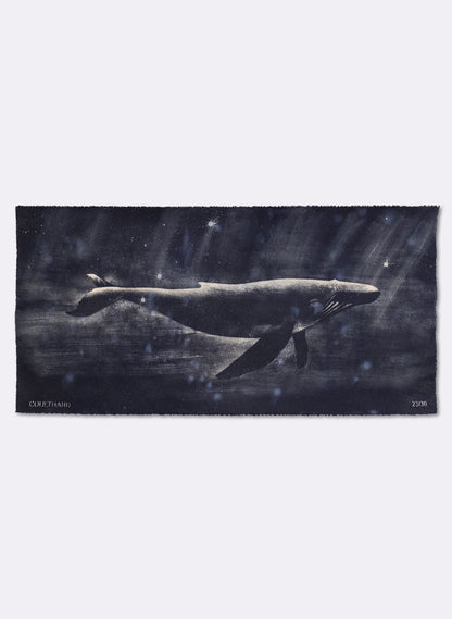 Dark Navy Humpback Whale