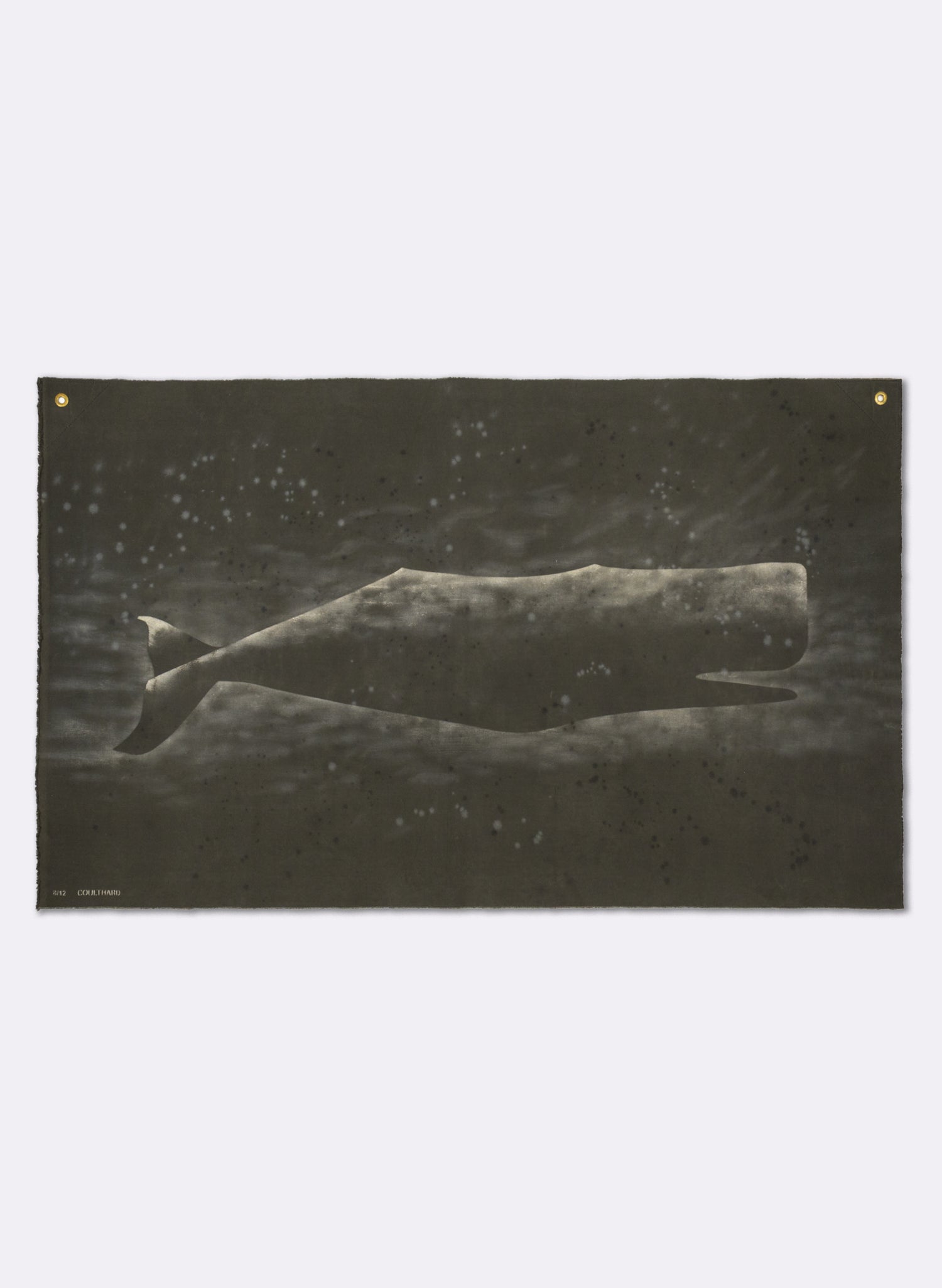 Large Heavy Whale Flag 8/12