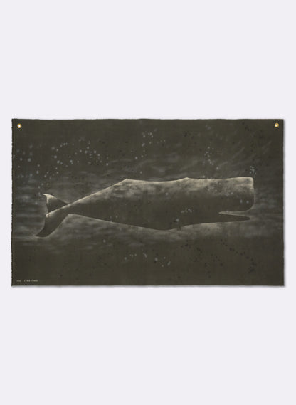 Large Heavy Whale Flag 8/12