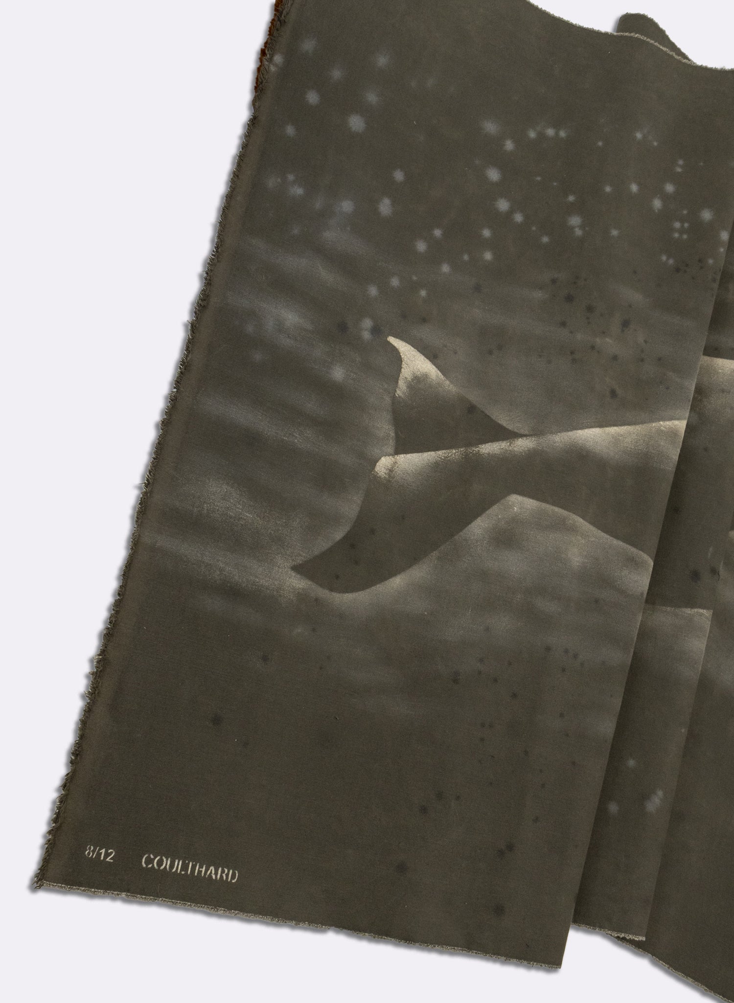 Large Heavy Whale Flag 8/12