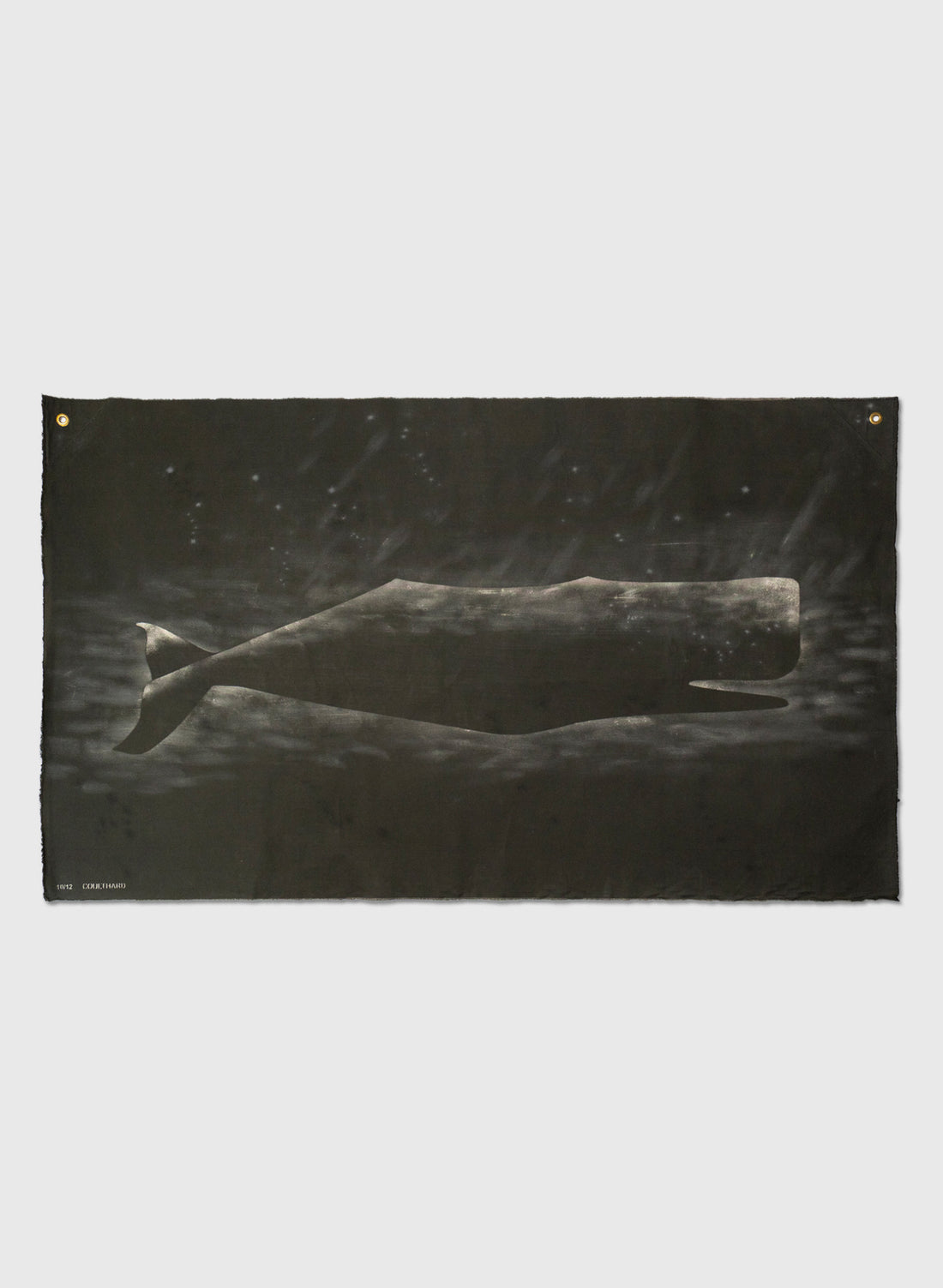 Large Heavy Whale Flag 10/12