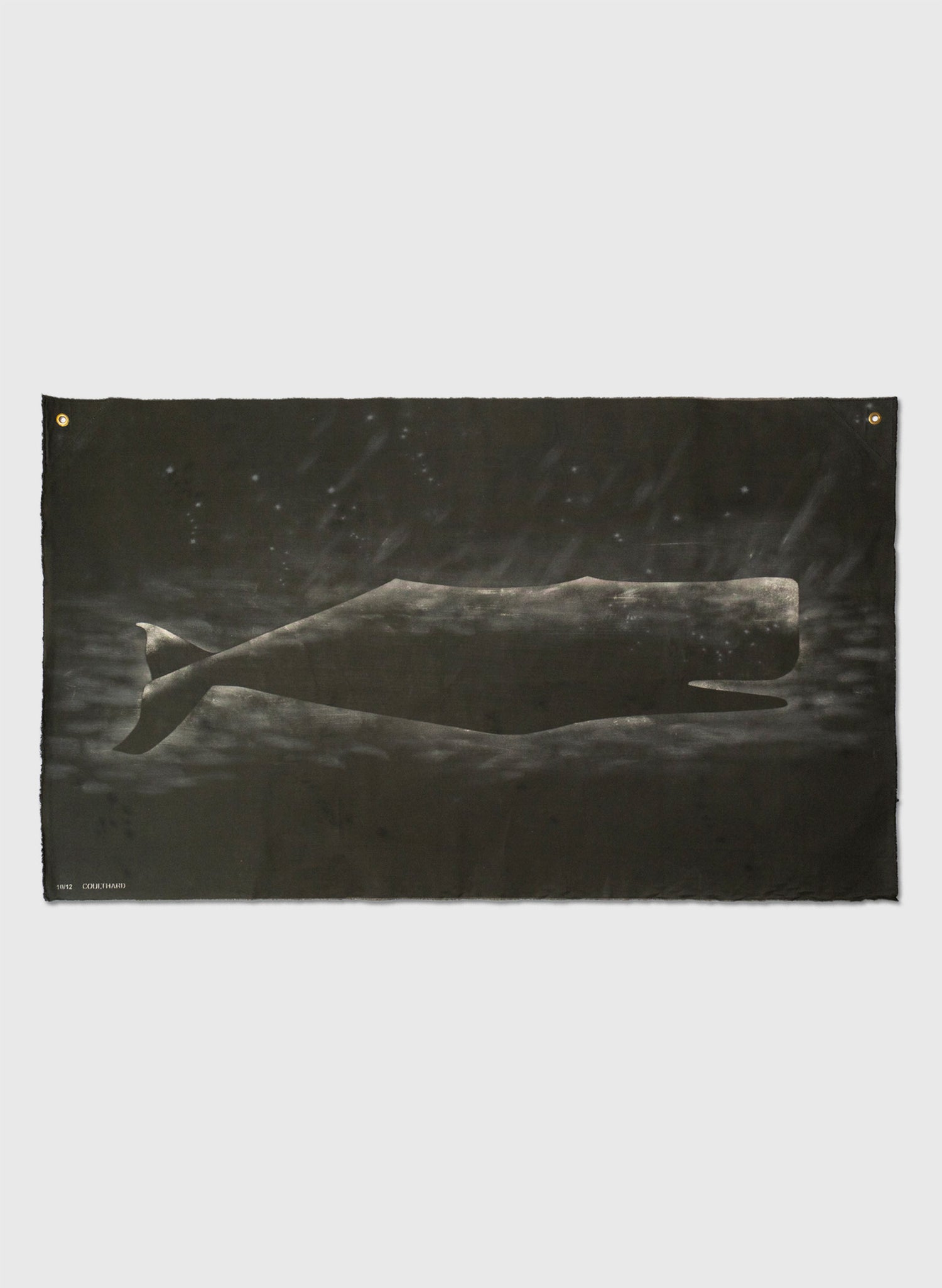 Large Heavy Whale Flag 10/12