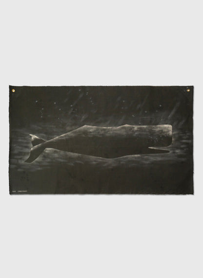 Large Heavy Whale Flag 10/12