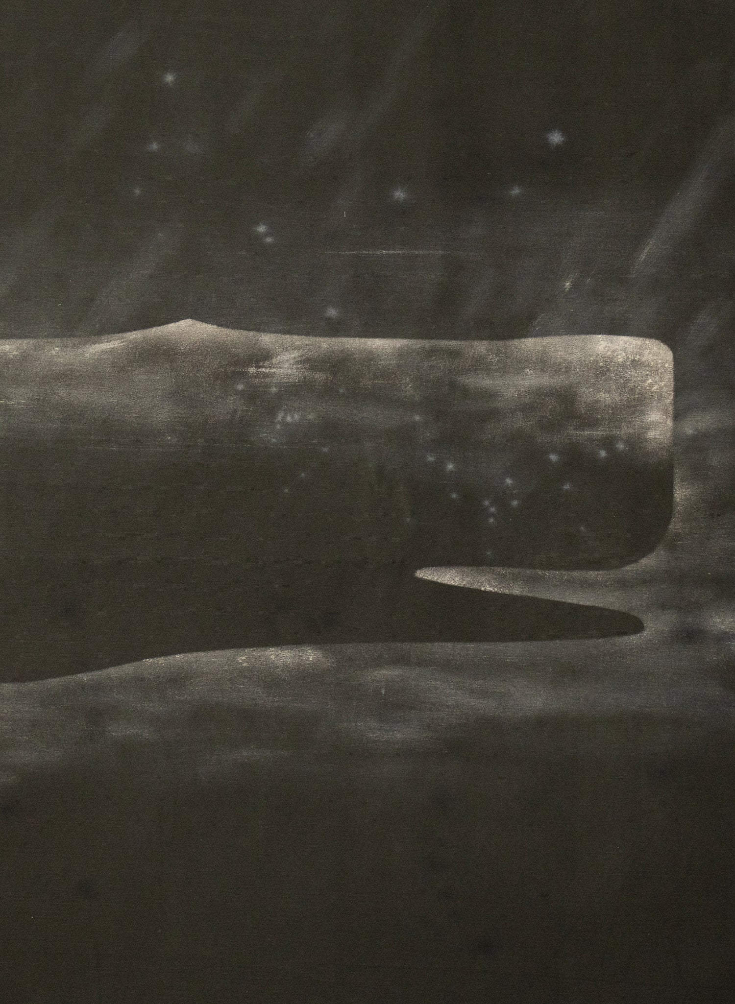 Large Heavy Whale Flag 10/12
