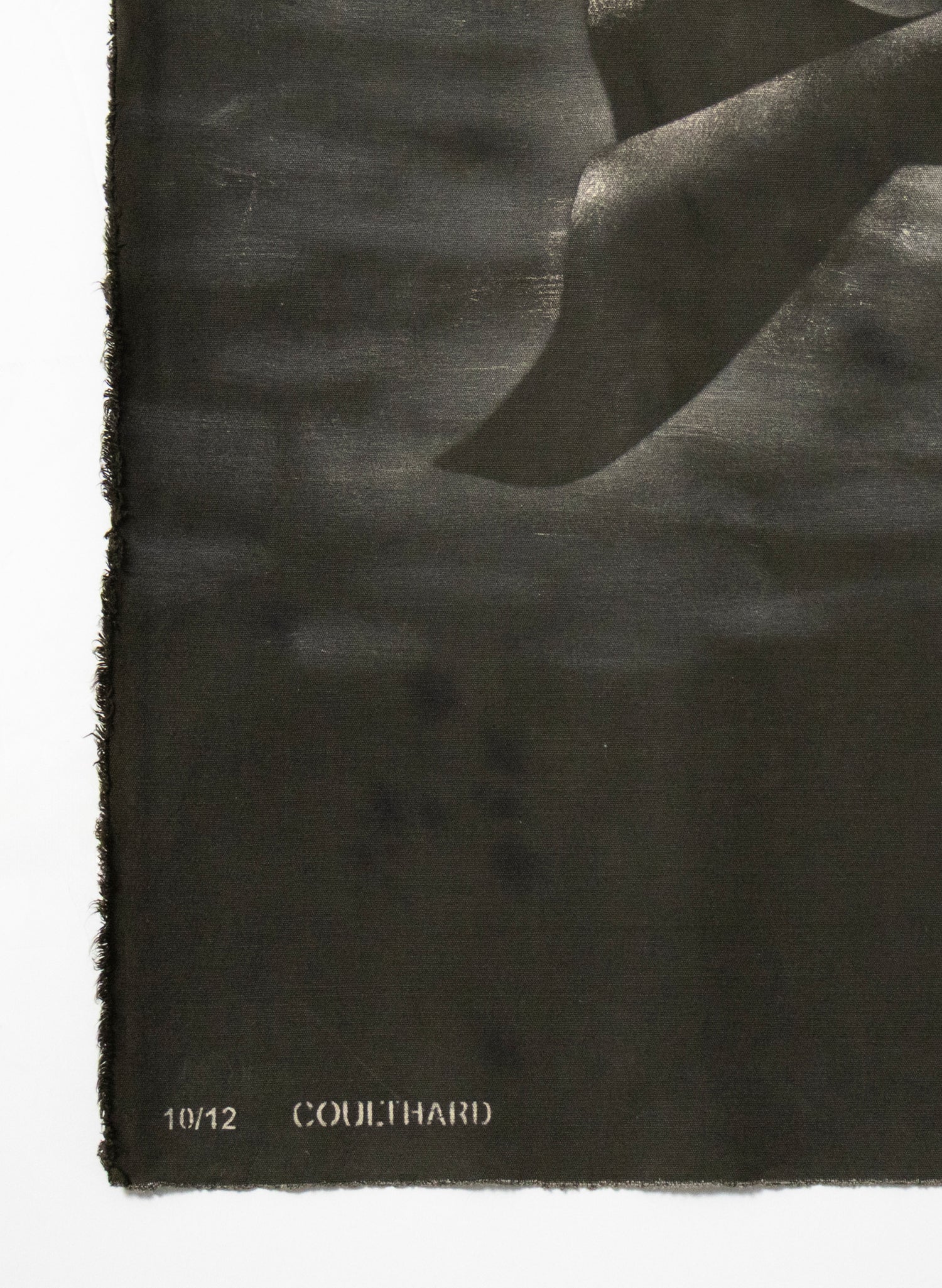 Large Heavy Whale Flag 10/12