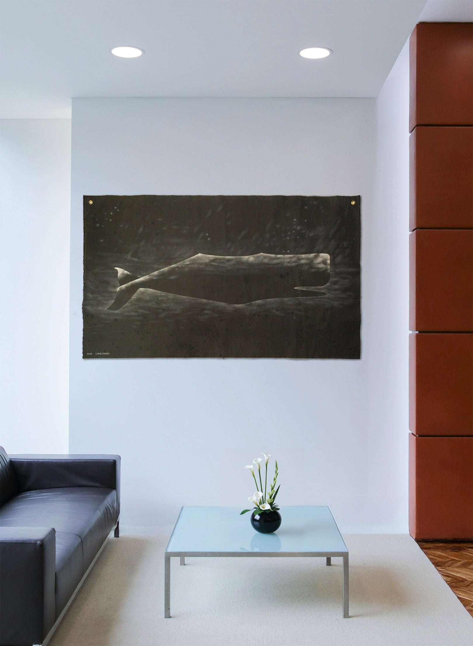 Large Heavy Whale Flag 11/12
