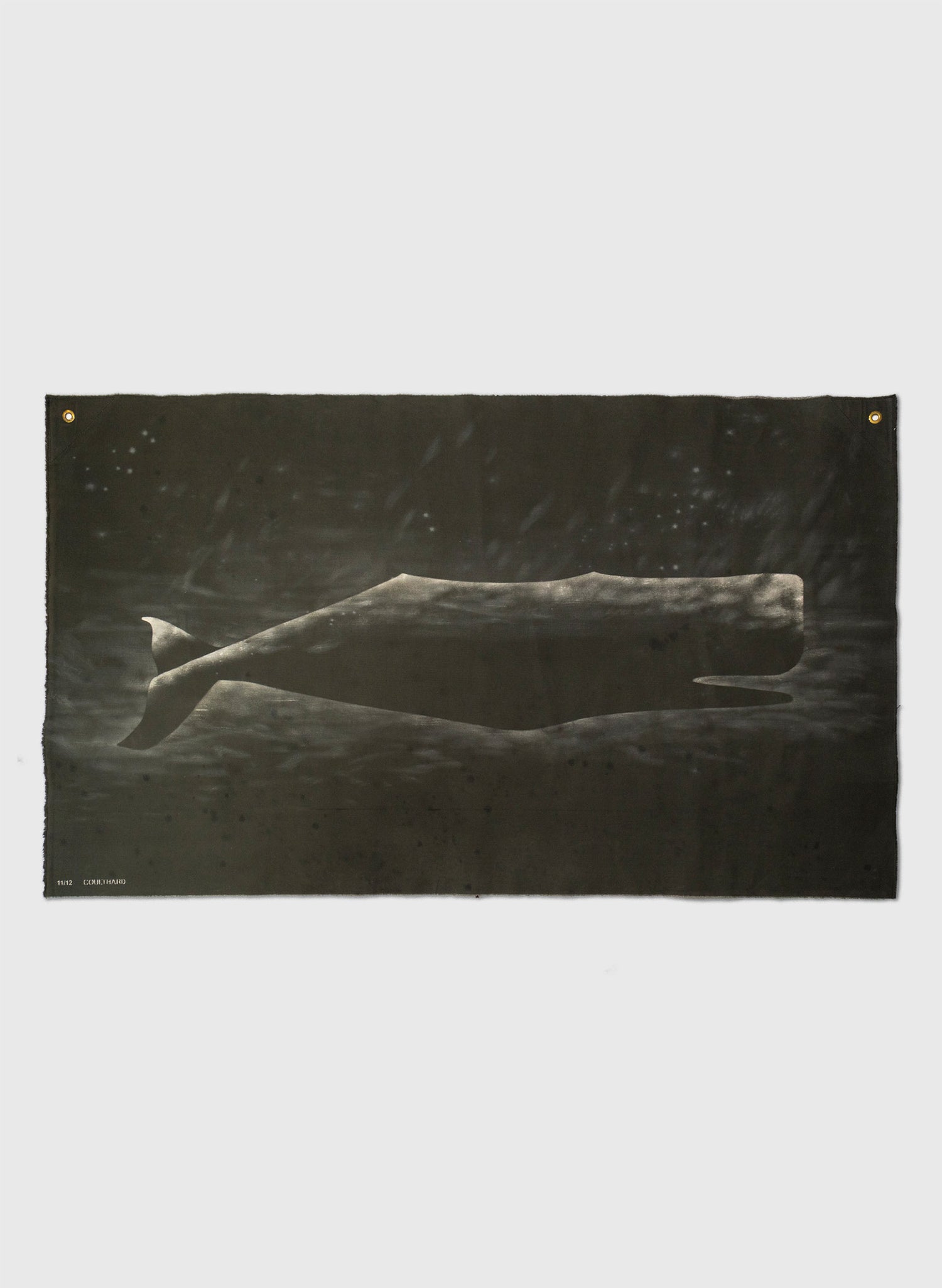Large Heavy Whale Flag 11/12