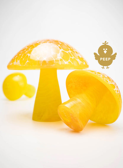 Yellow/Orange Lace Mushroom - Large