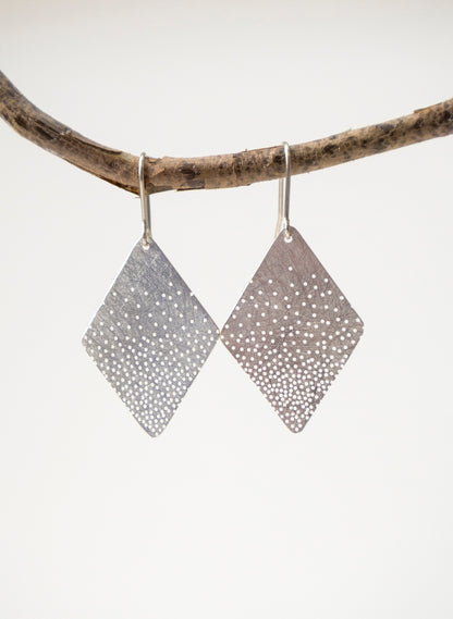 Tiny Hole Earrings