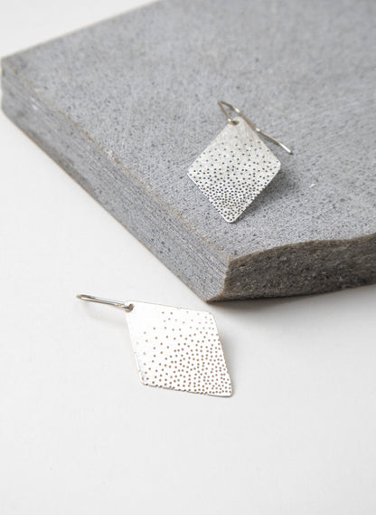 Tiny Hole Earrings