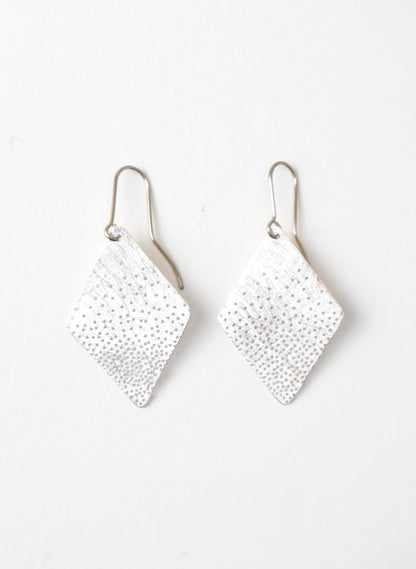 Tiny Hole Earrings