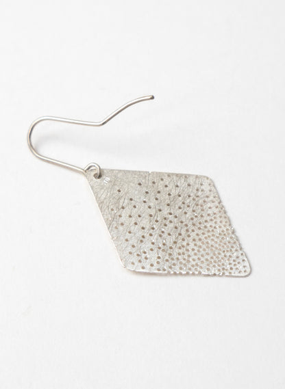 Tiny Hole Earrings