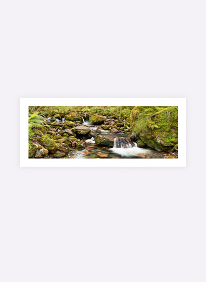 Poetry In Motion - Photographic Print
