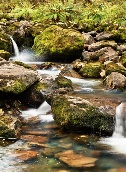 Poetry In Motion - Photographic Print