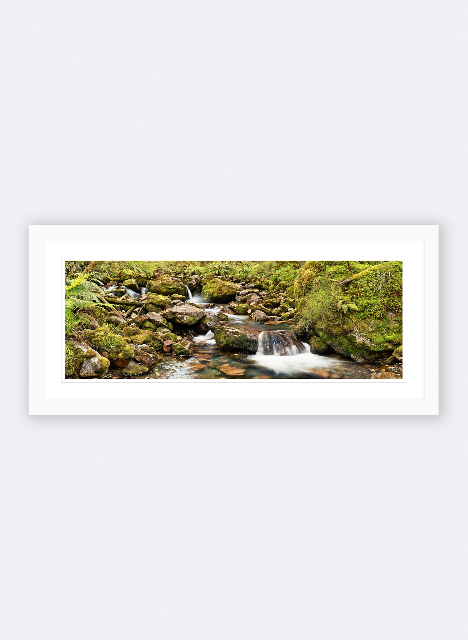 Poetry In Motion - Photographic Print